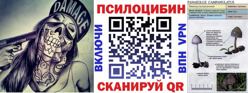 Псилоцибиновые грибы ЛСД  мега зеркало  Спас-Клепики 
